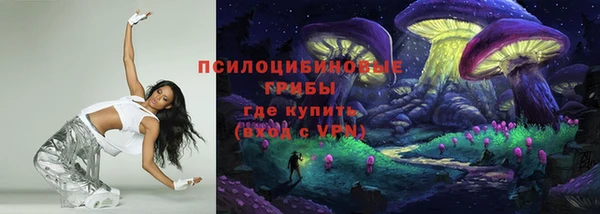 apvp Арсеньев