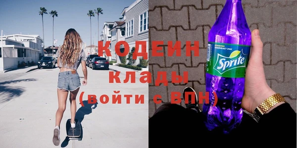 сатива Покачи