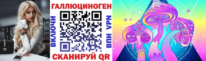 Купить  Хабаровск  Псилоцибиновые грибы Psilocybine cubensis 