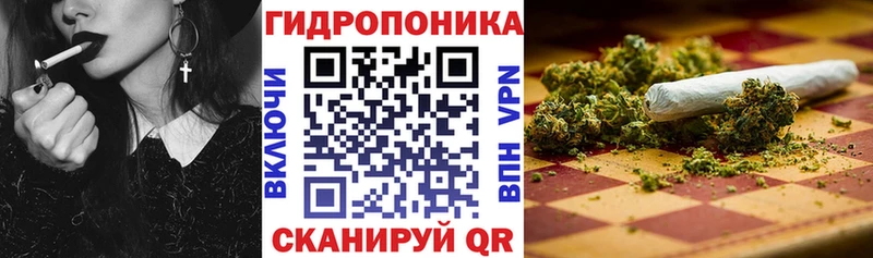 Купить где  Хабаровск  Шишки марихуана OG Kush 